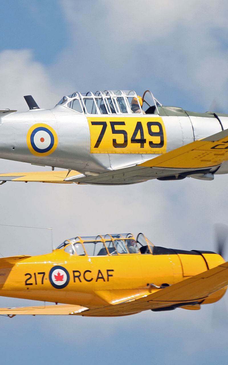 N47217 - Warbird