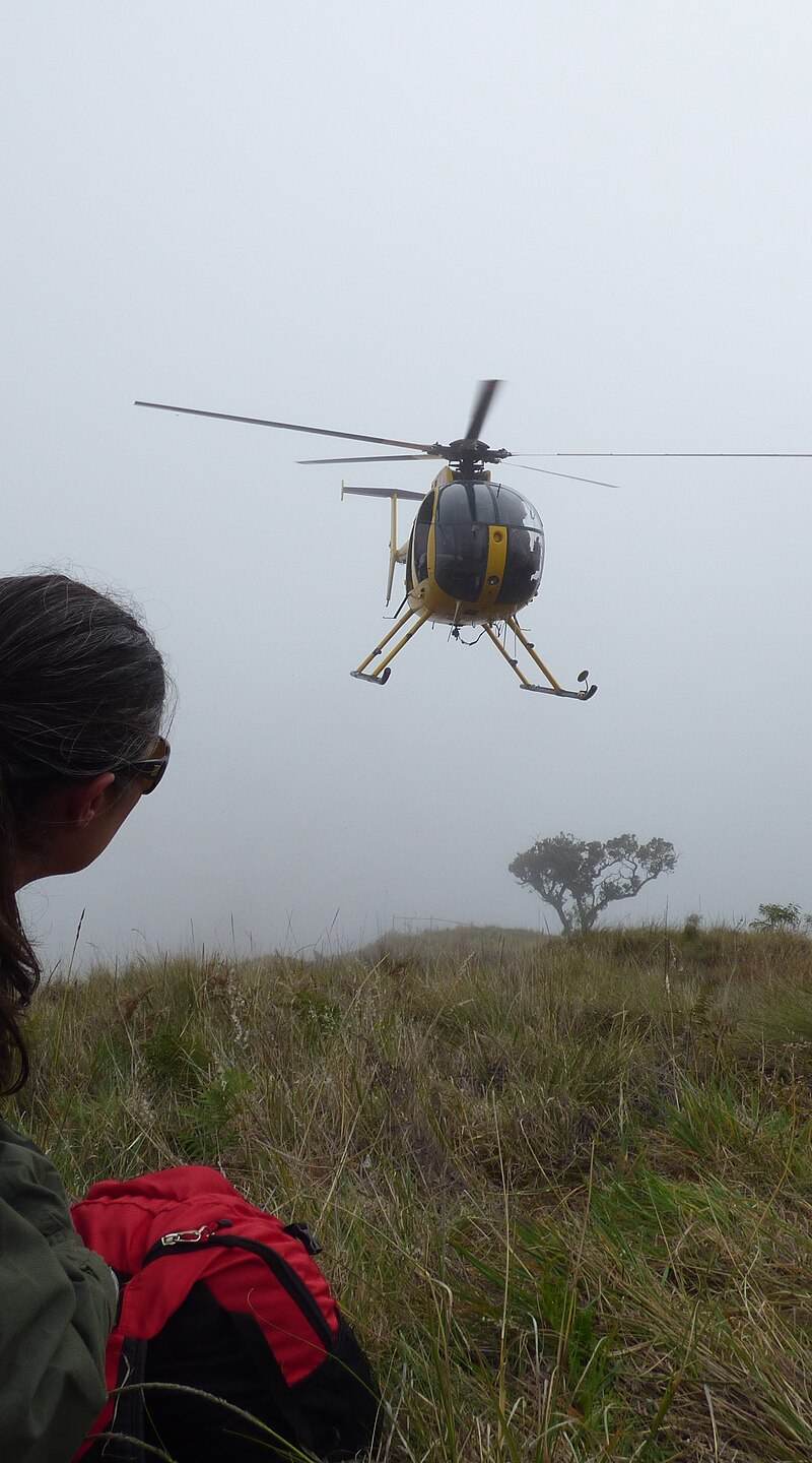 N811WA - Helicopter
