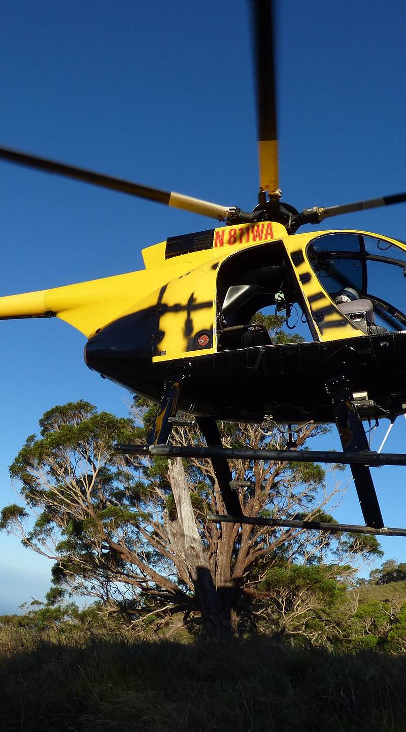 N811WA - Helicopter