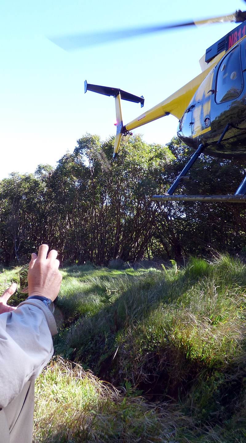 N811WA - Helicopter