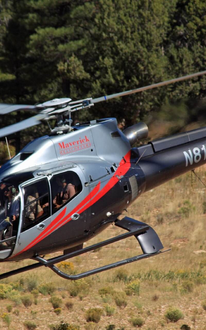 N815MH - Airbus