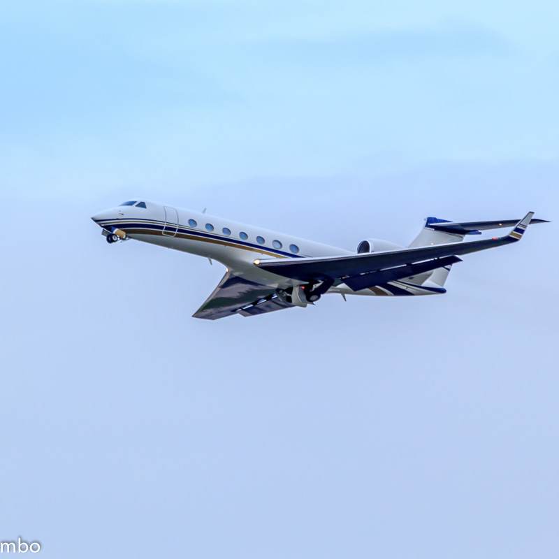 N818LF - Business jet