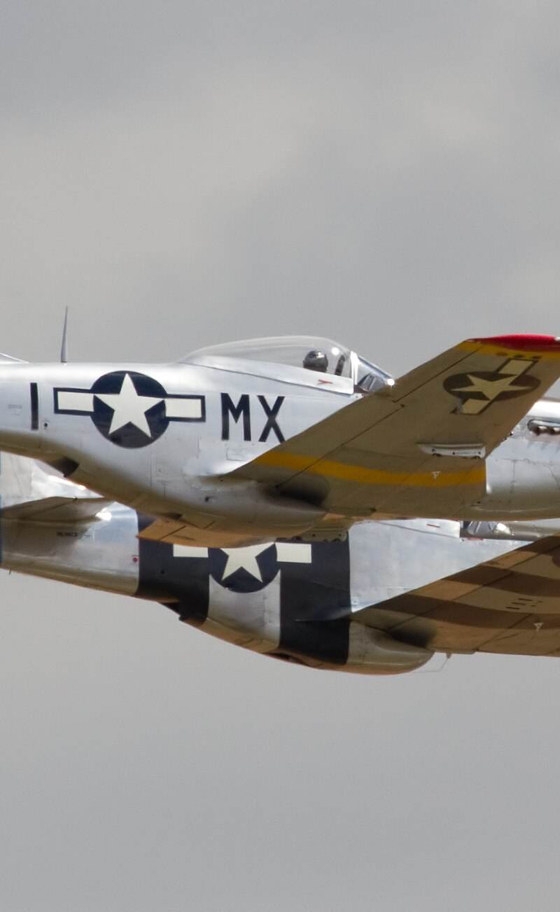  - Warbird