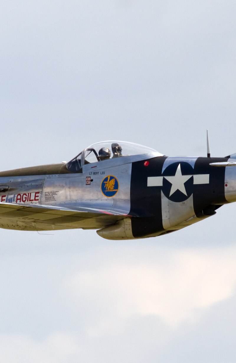  - Warbird