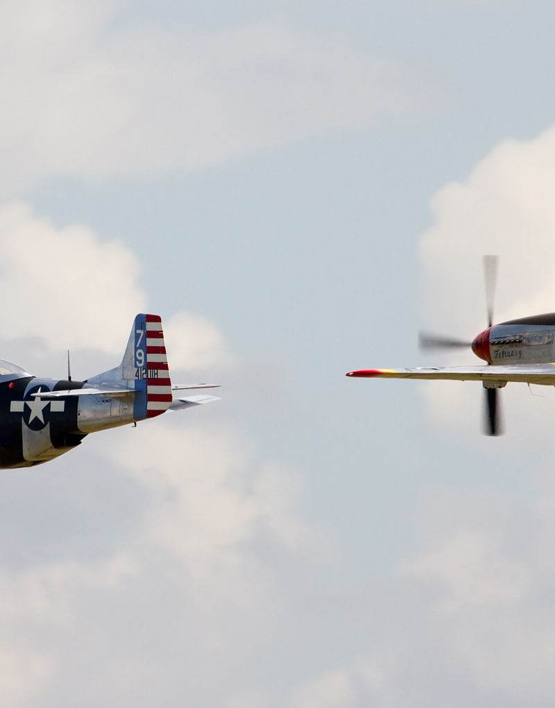  - Warbird