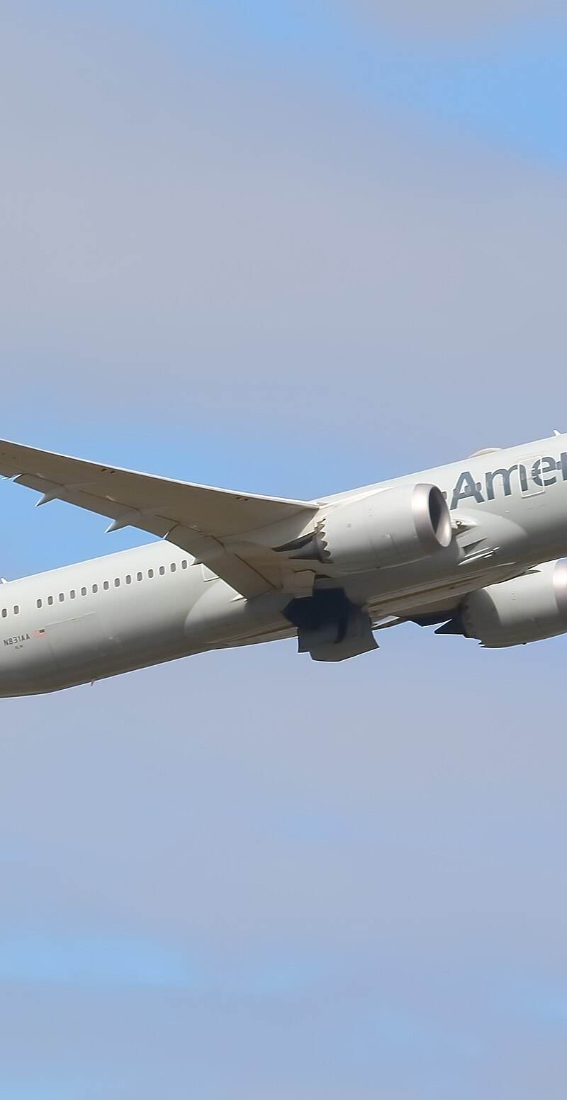 N831AA - Boeing