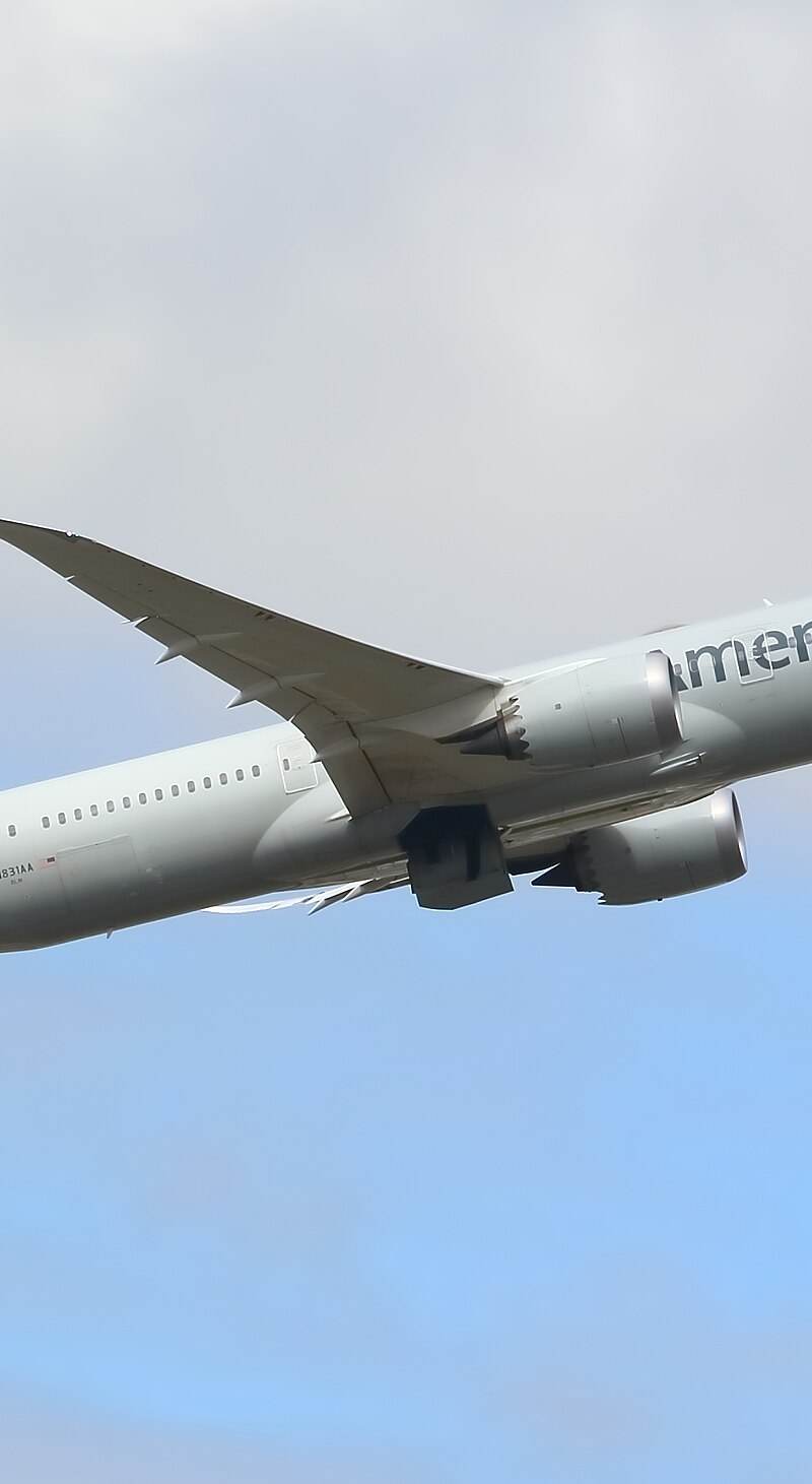 N831AA - Boeing