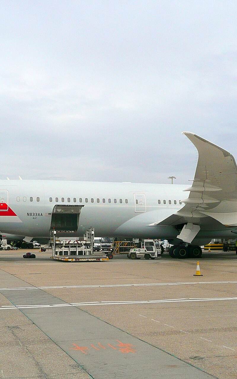 N833AA - Boeing