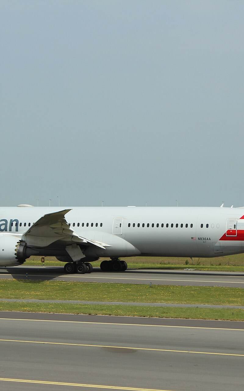 N836AA - Twin-engine aircraft