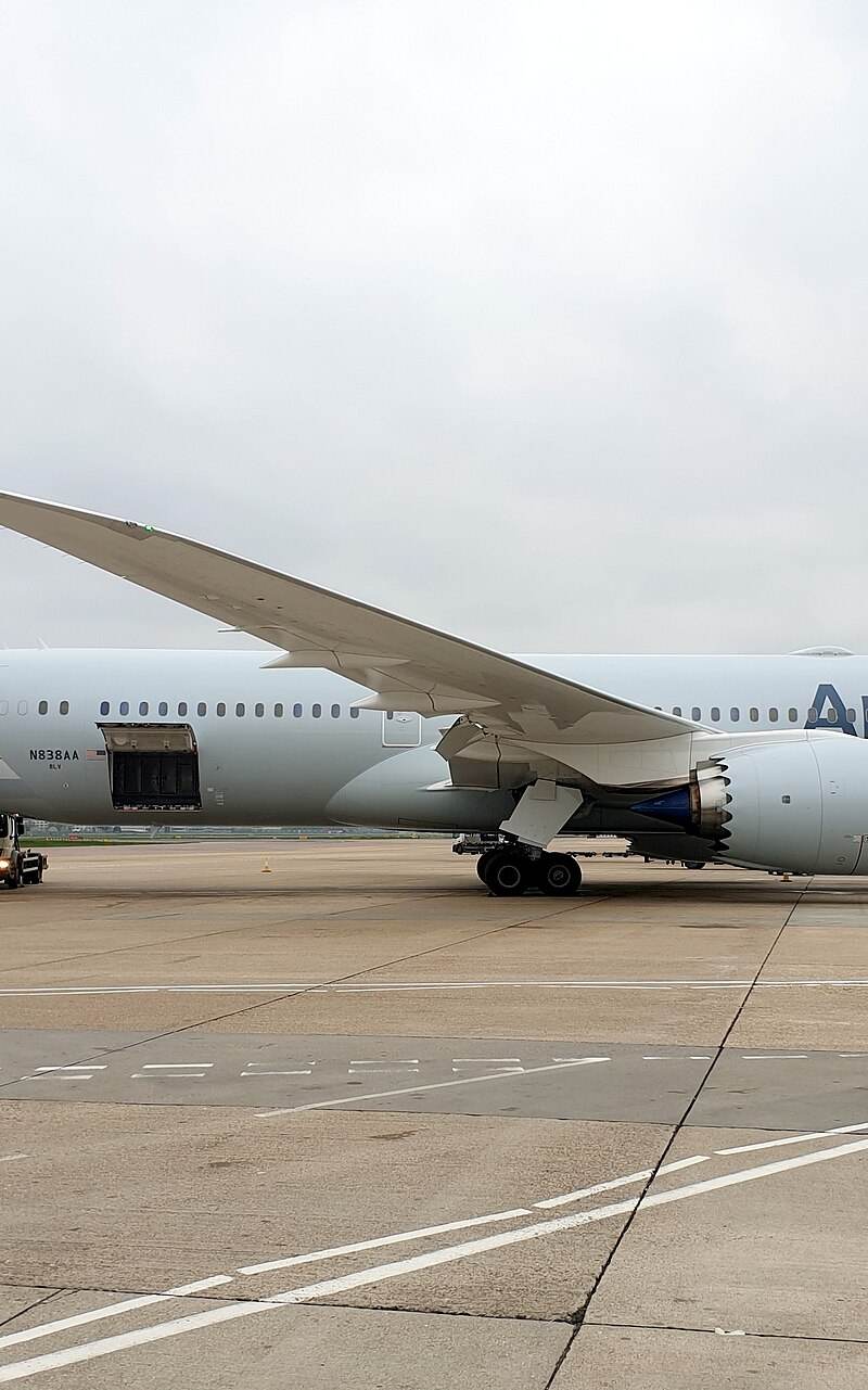N838AA - Aircraft