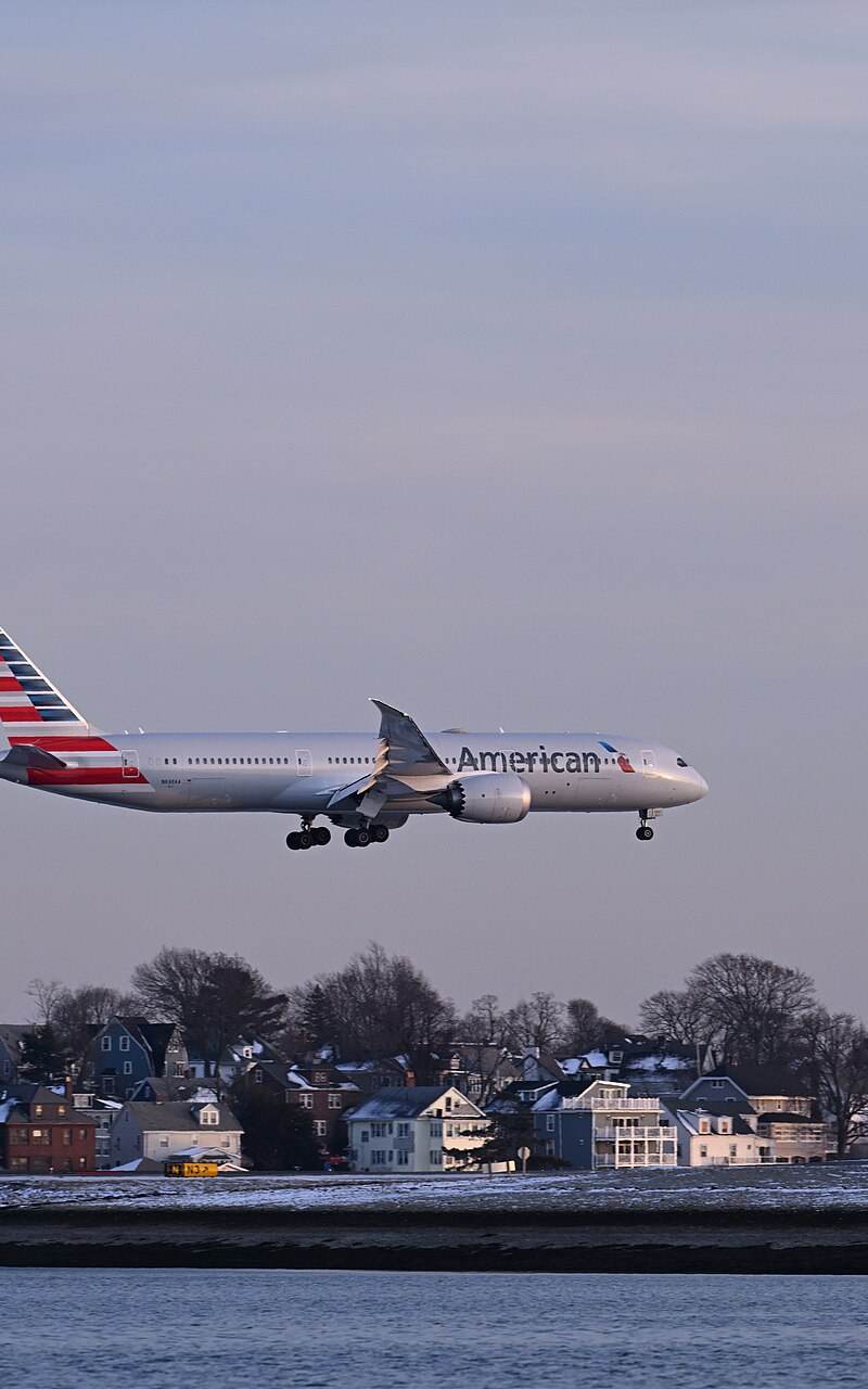 N838AA - Twin-engine aircraft