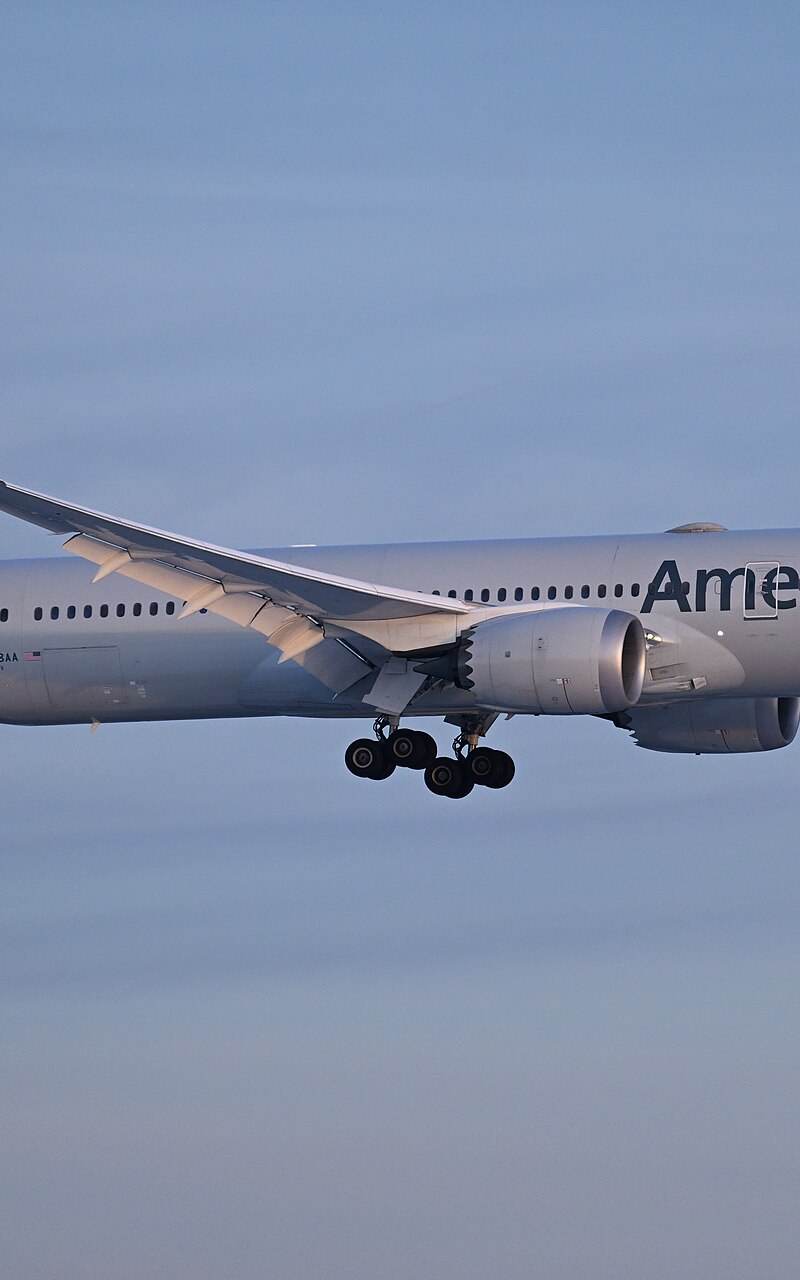 N838AA - Boeing