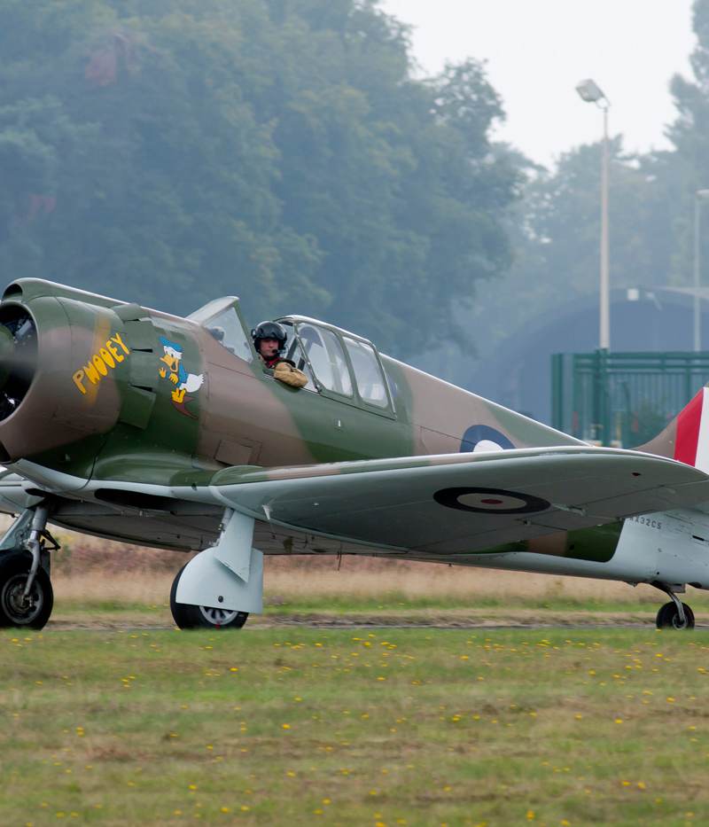  - Warbird