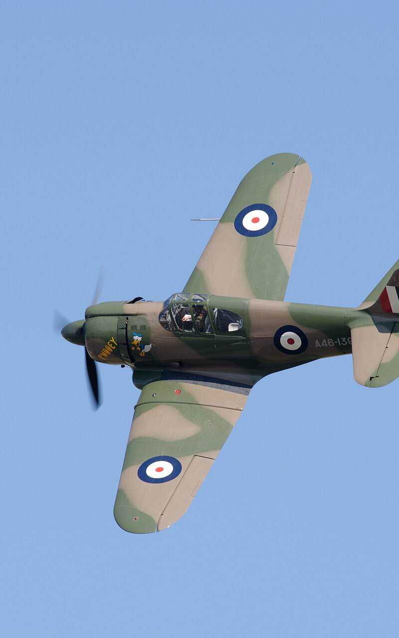 - Warbird