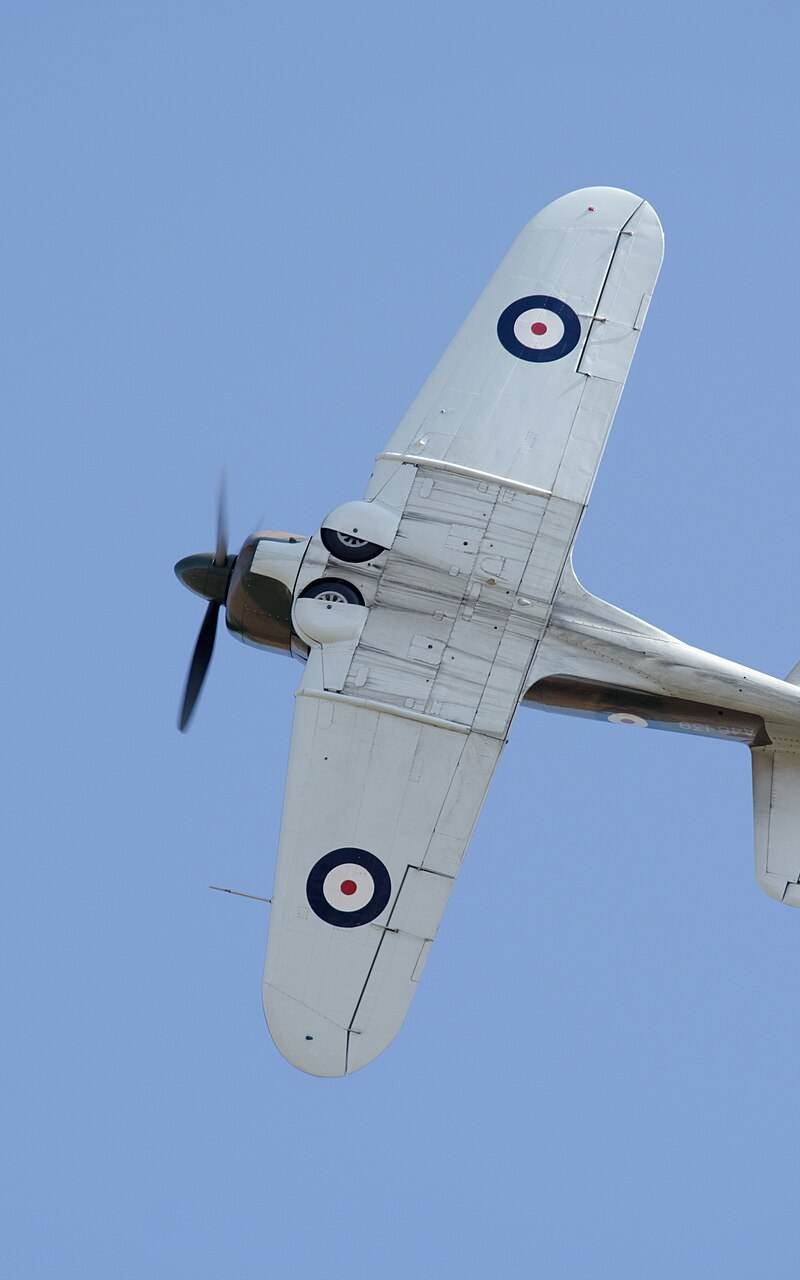  - Warbird