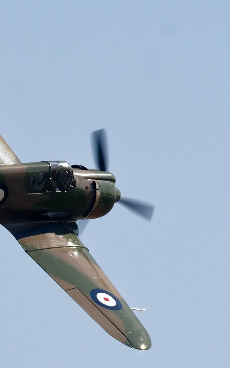  - Warbird