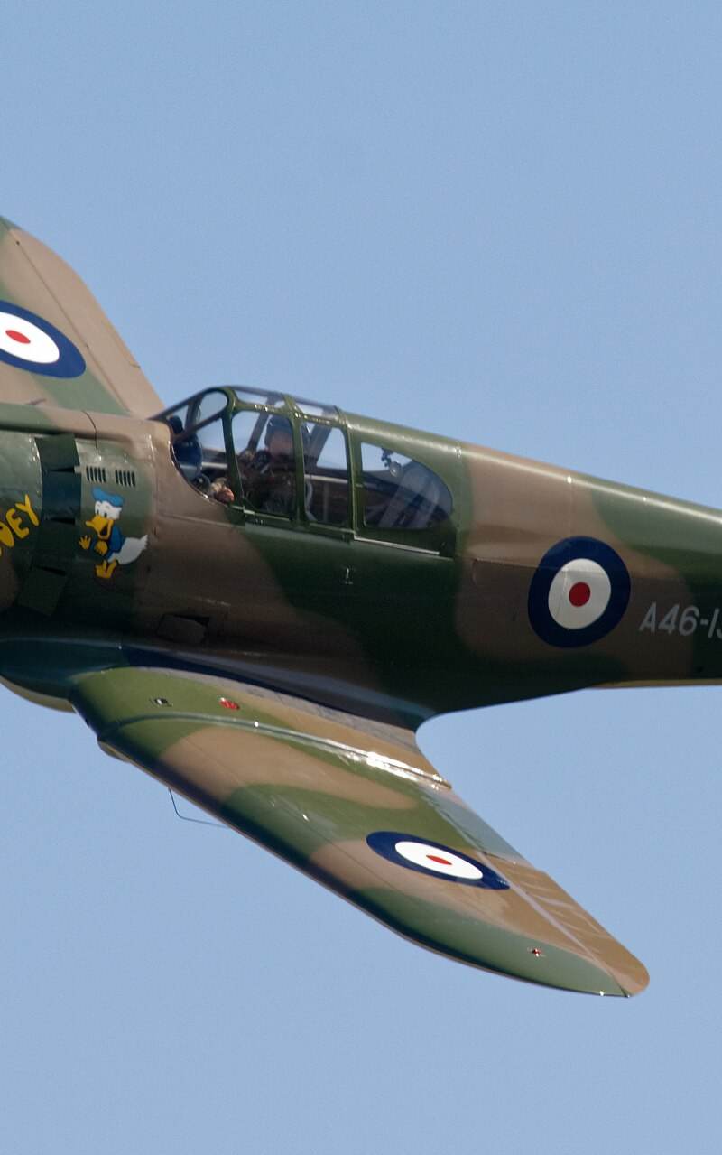  - Warbird