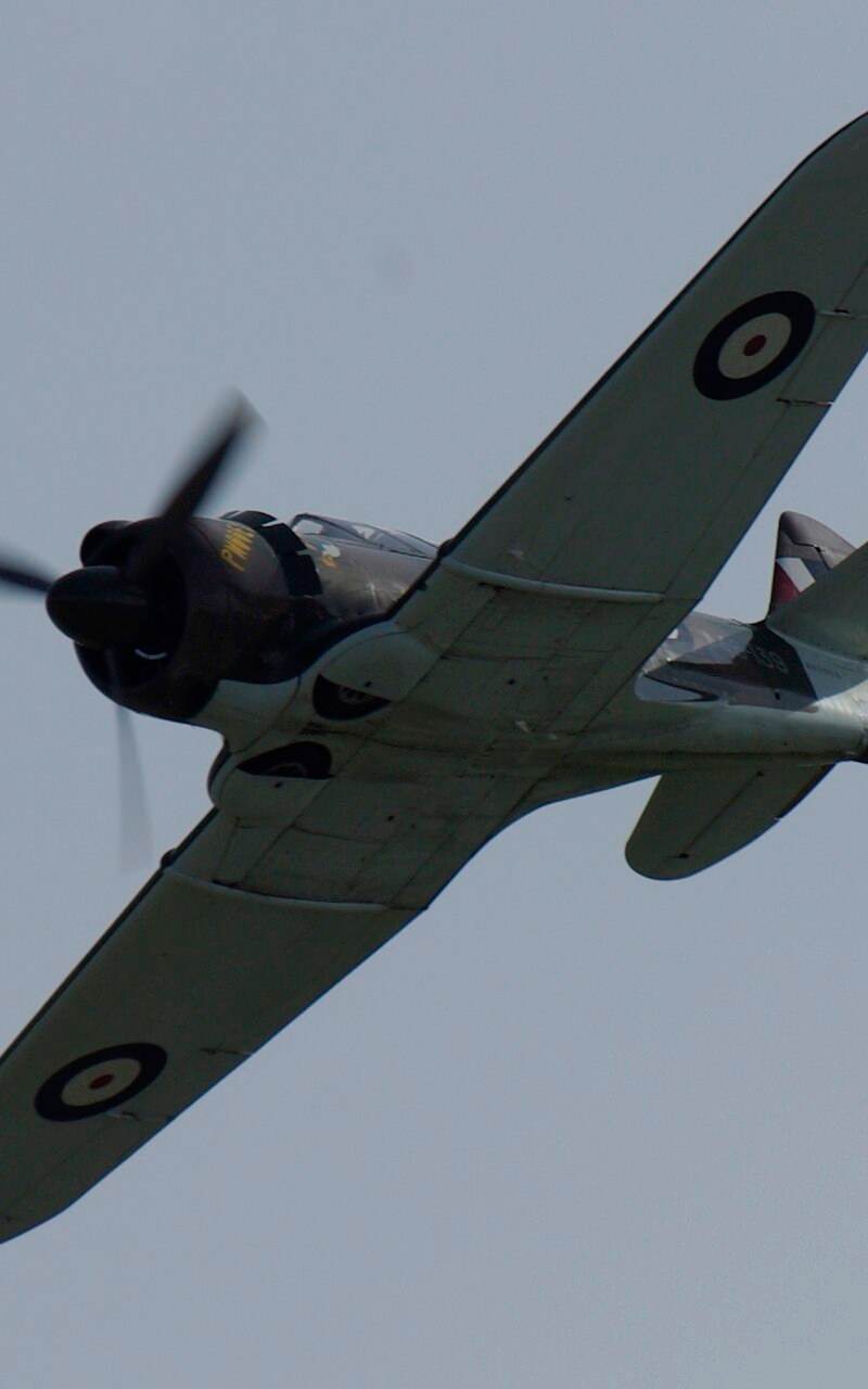  - Warbird