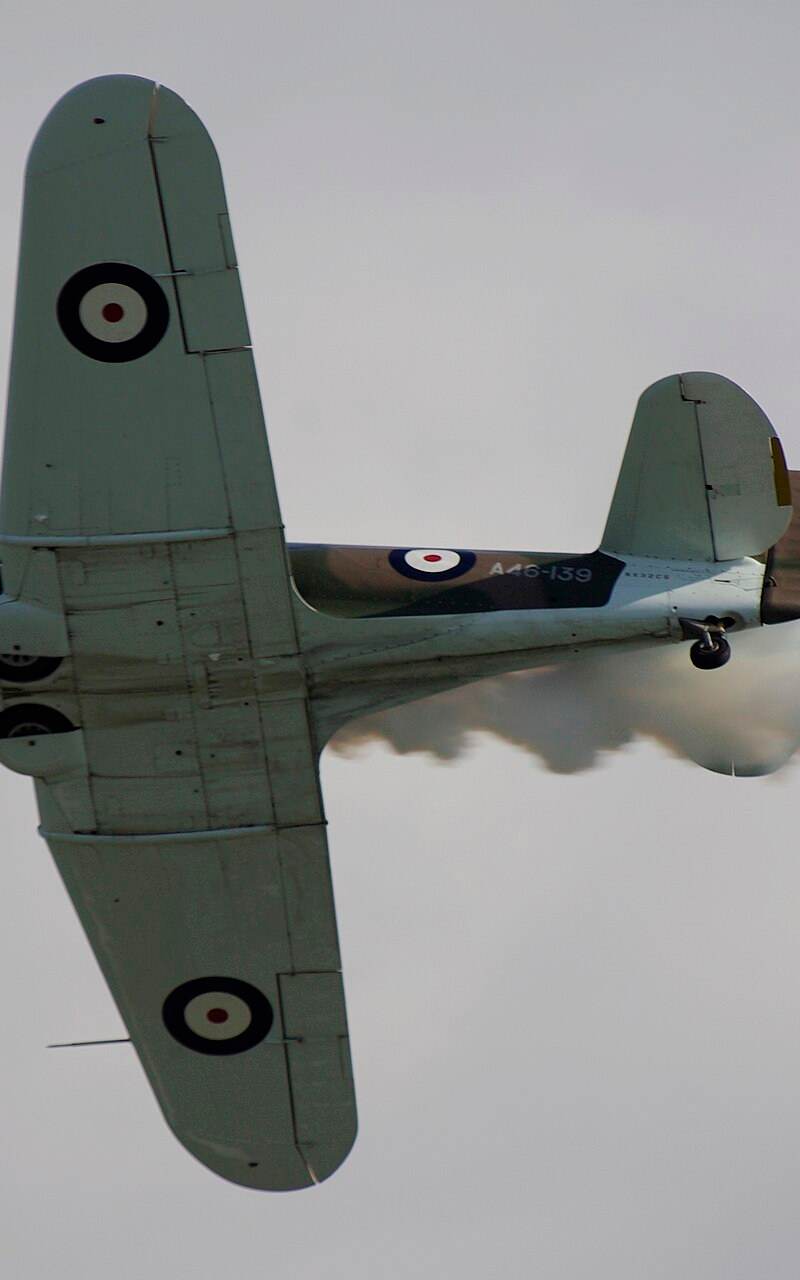  - Warbird