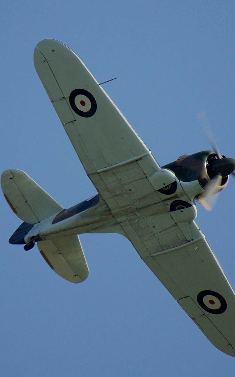  - Warbird