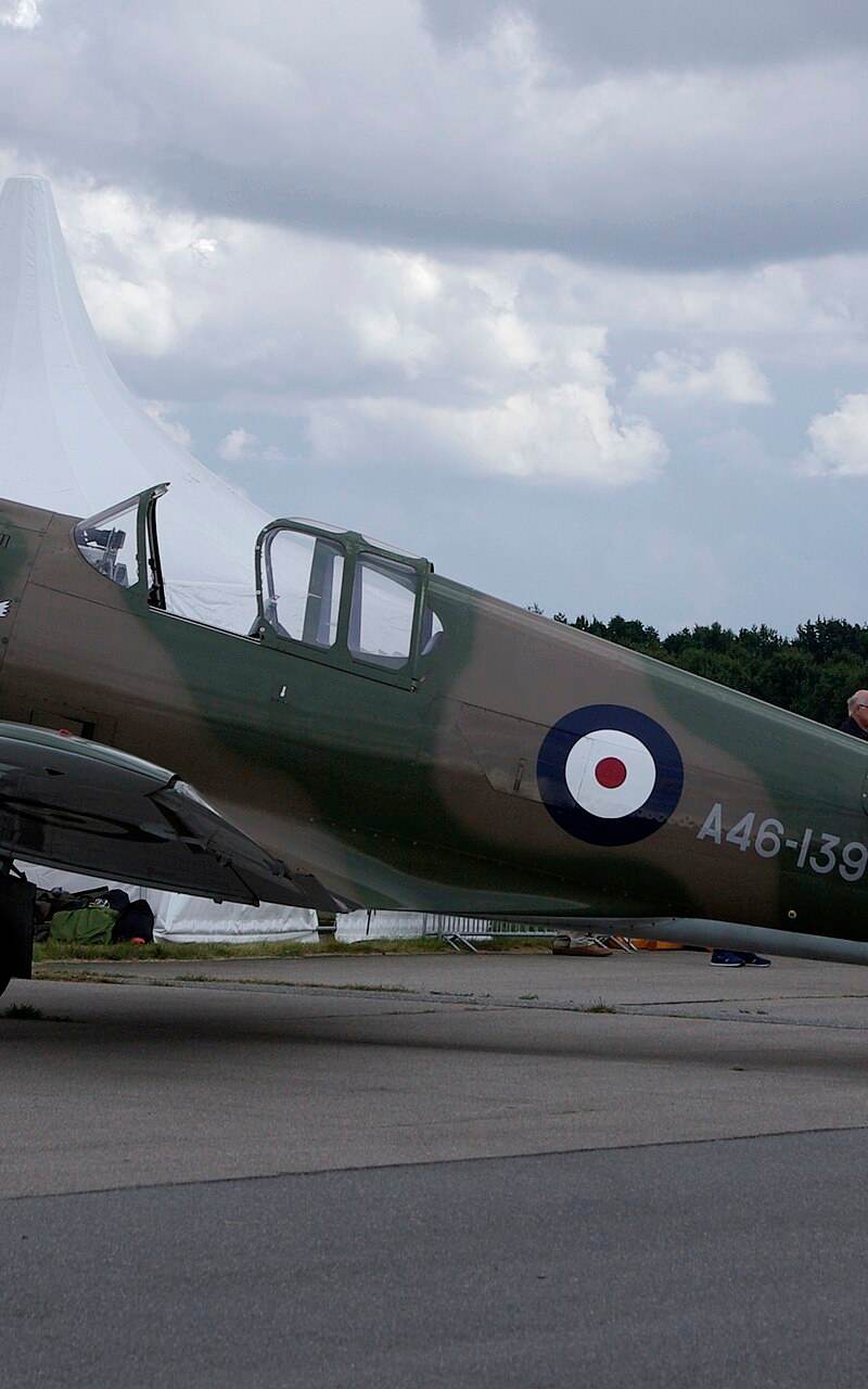  - Warbird