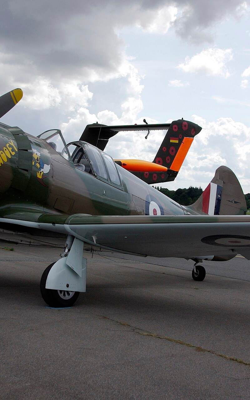  - Warbird
