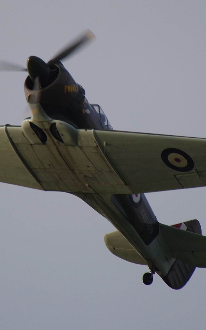  - Warbird