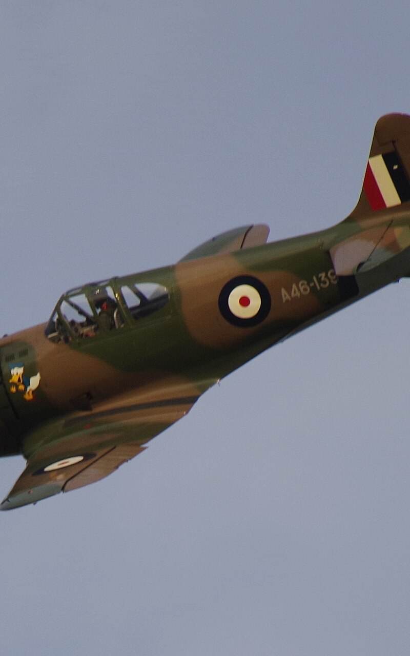  - Warbird