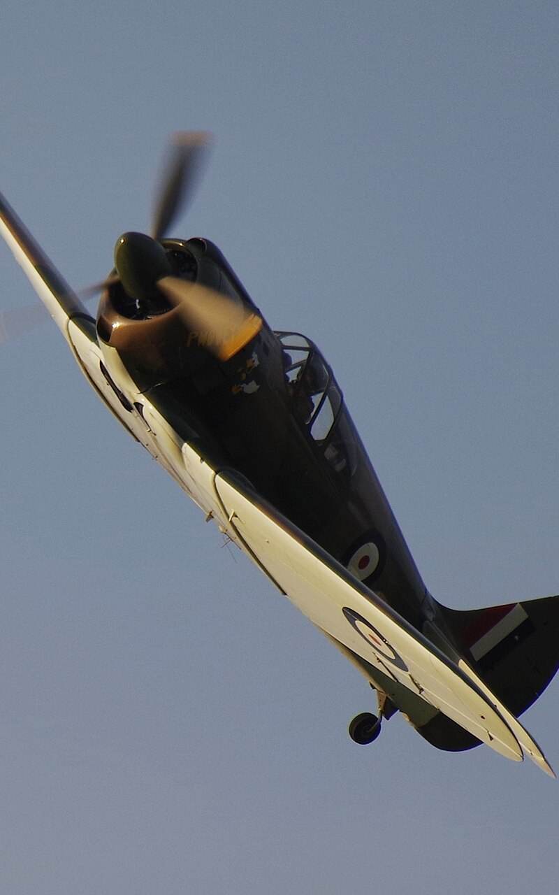  - Warbird