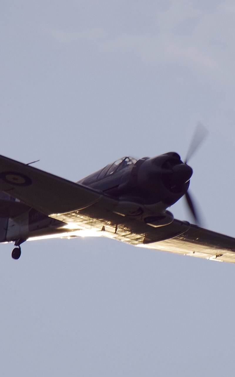  - Warbird