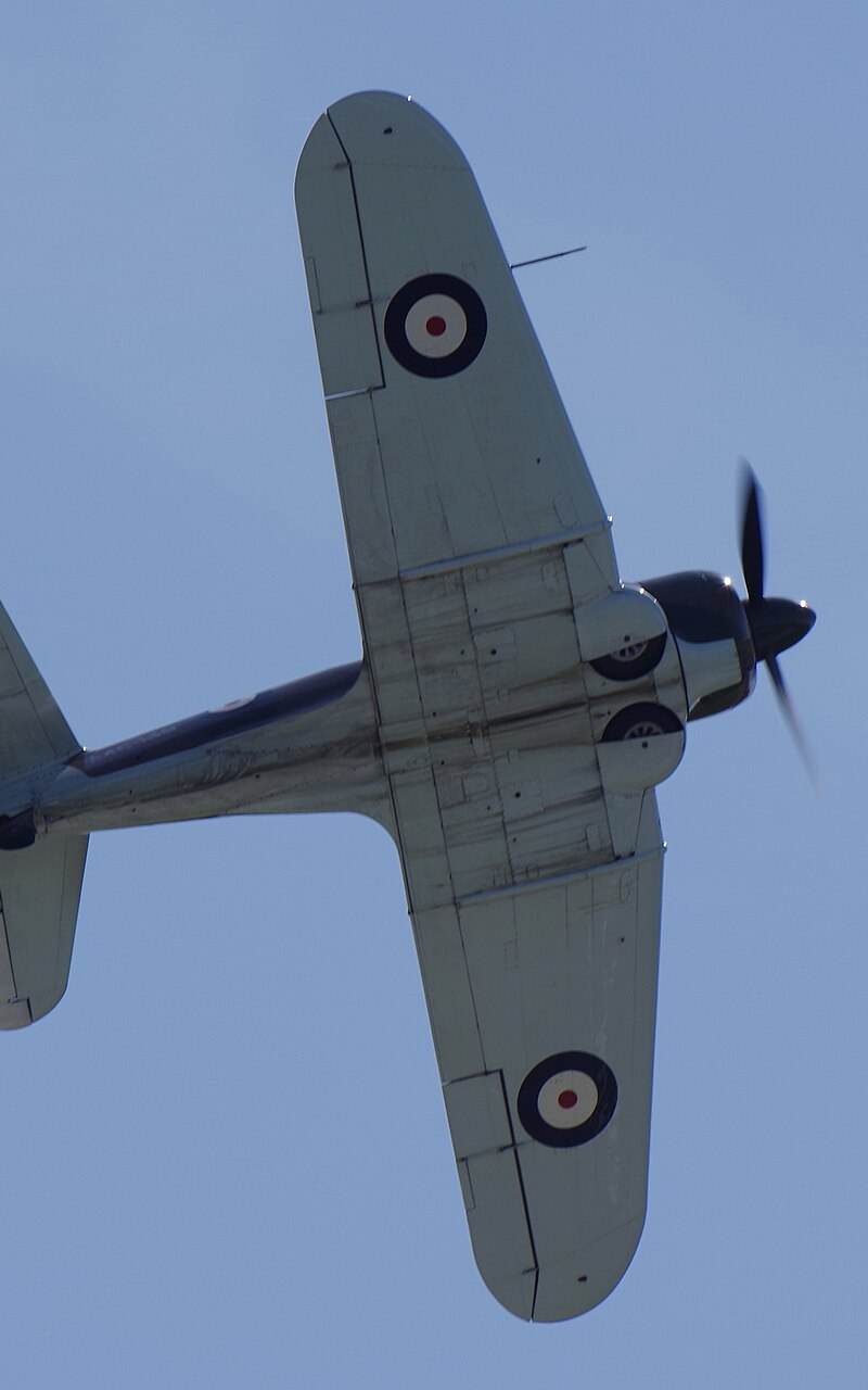  - Warbird
