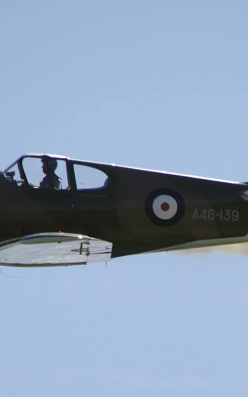  - Warbird