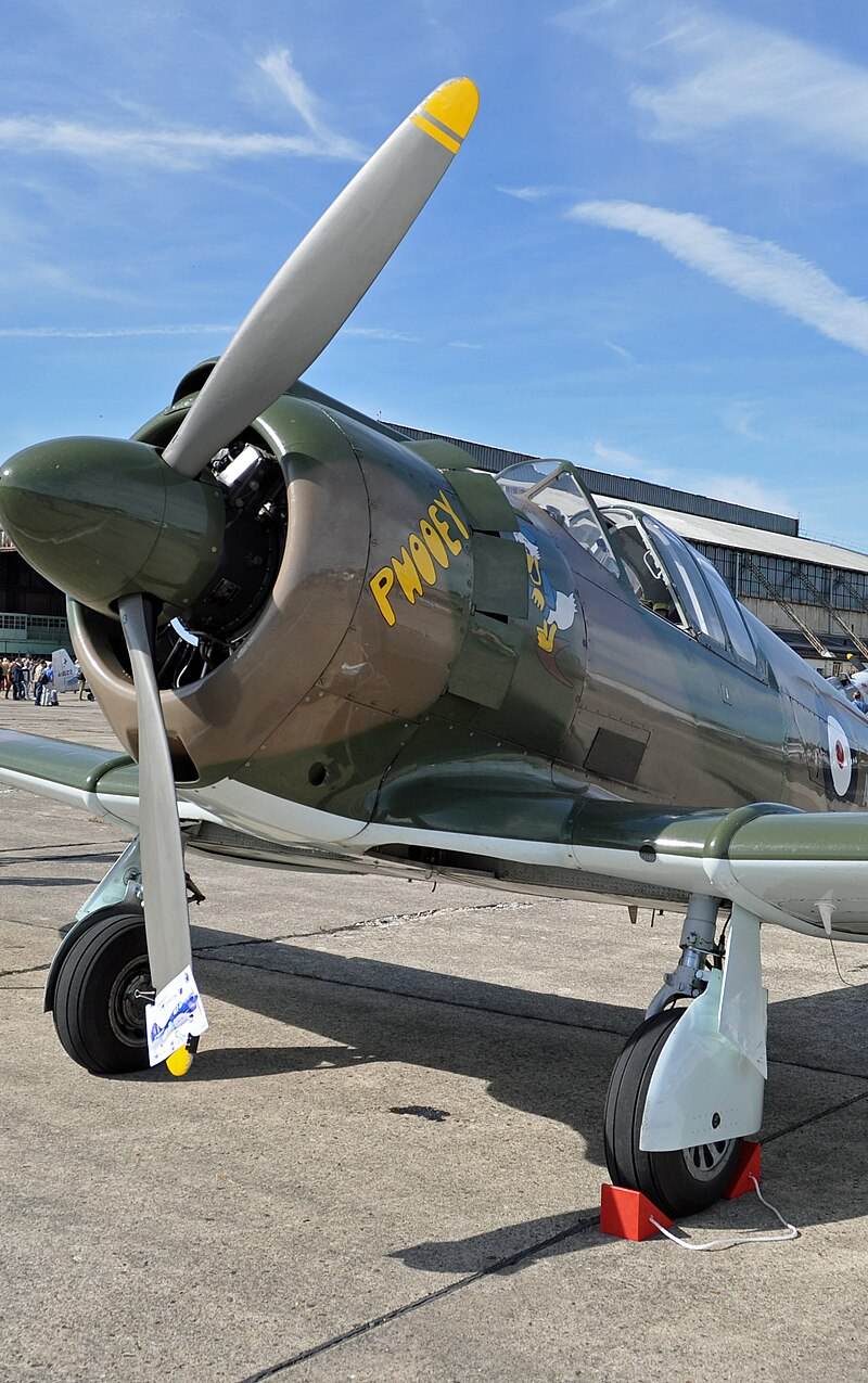  - Warbird