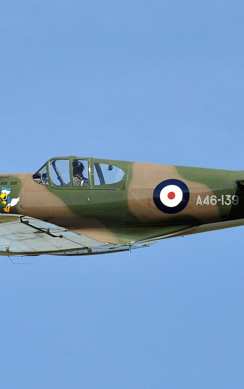  - Warbird