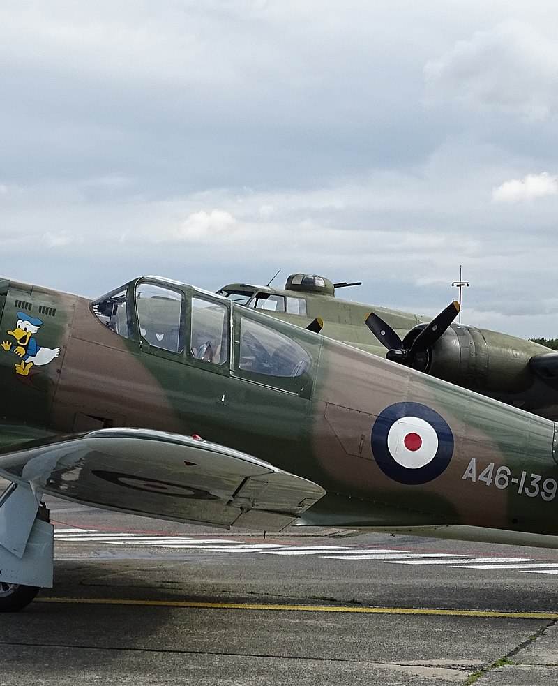  - Warbird