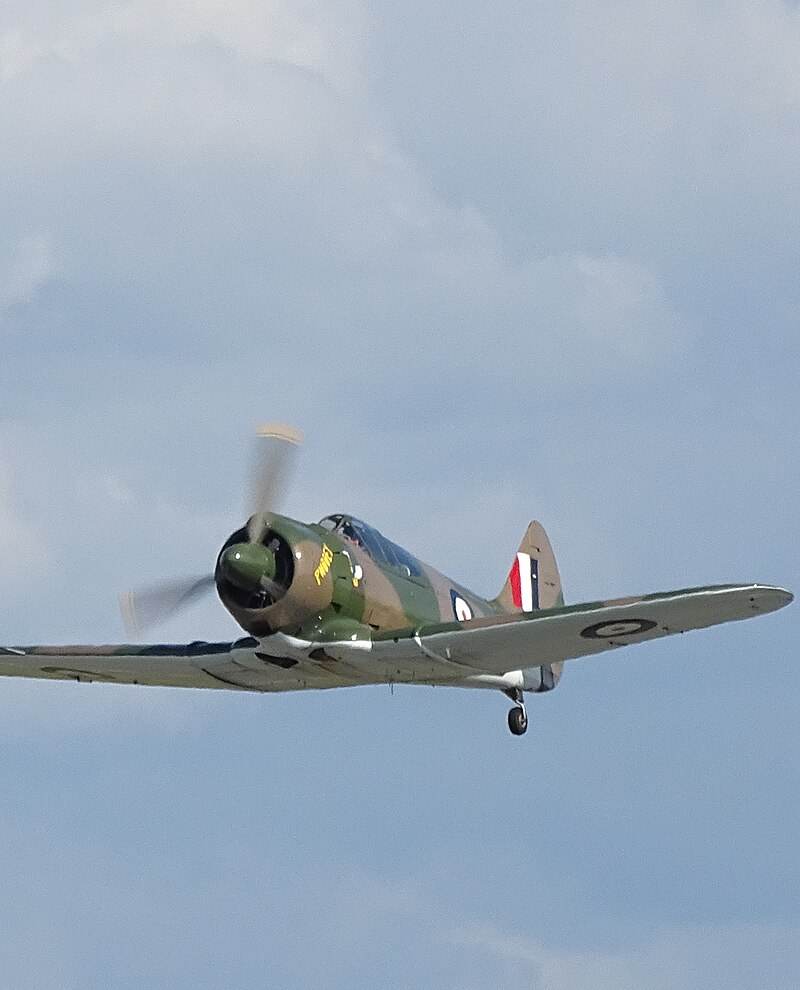  - Warbird