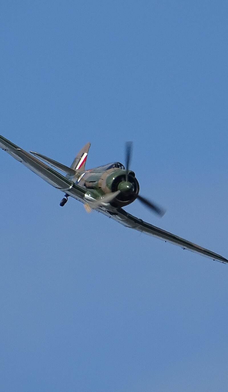  - Warbird