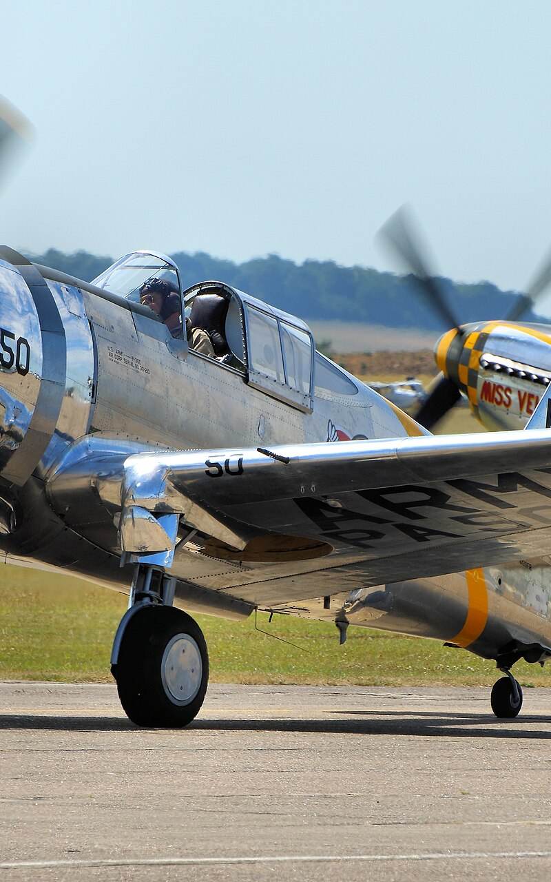  - Warbird