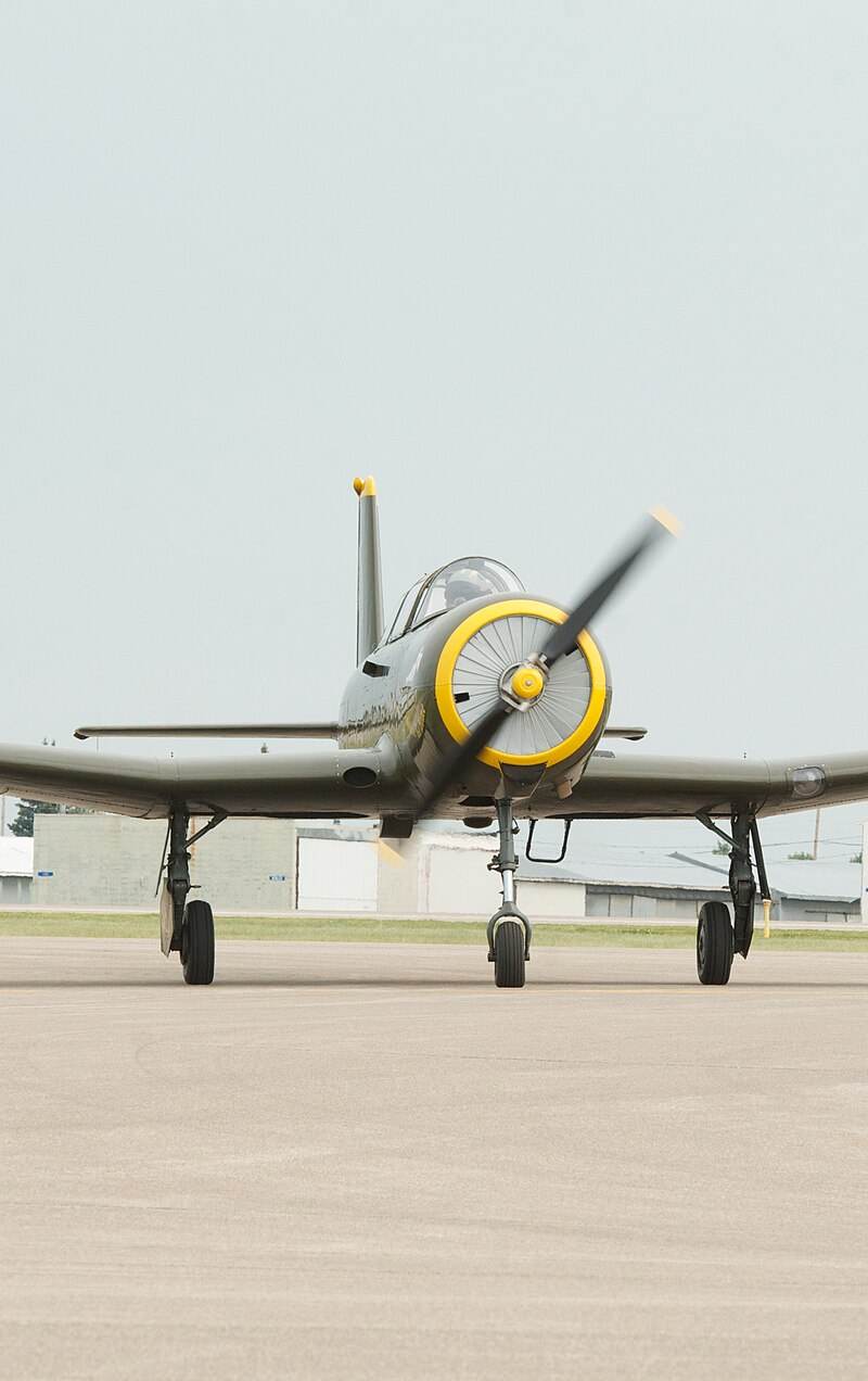  - Warbird