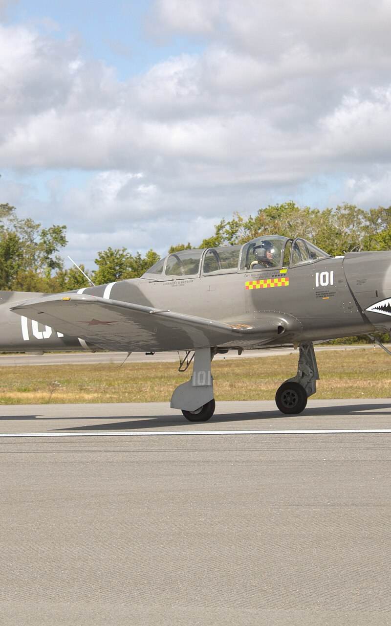 N101TT - Warbird