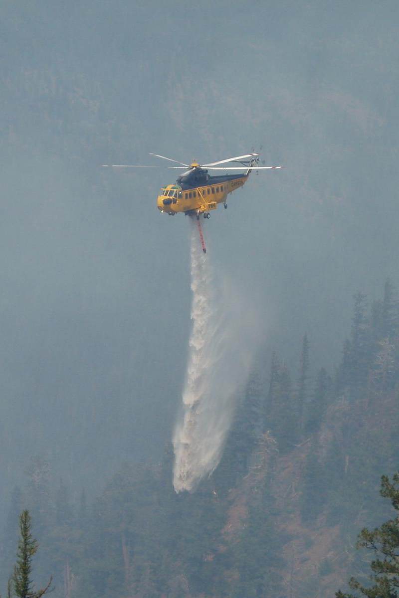 N103WF - Helicopter
