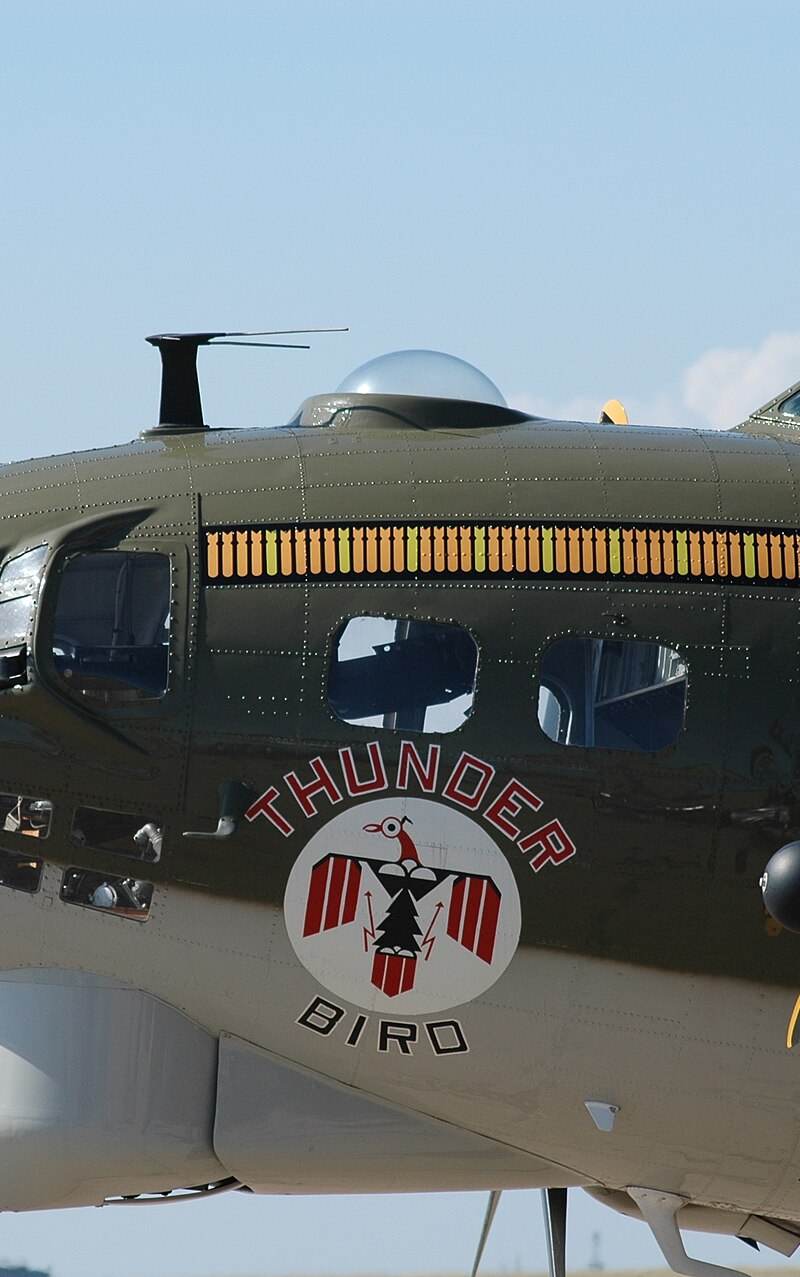  - Warbird
