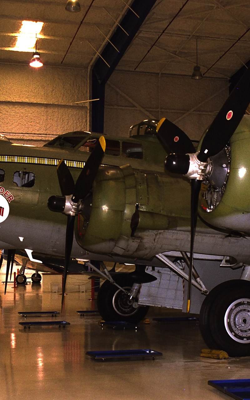  - Warbird