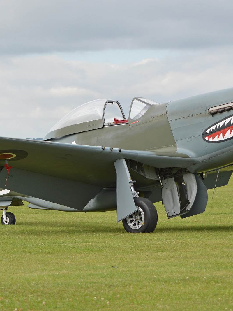 G-SHWN - Warbird