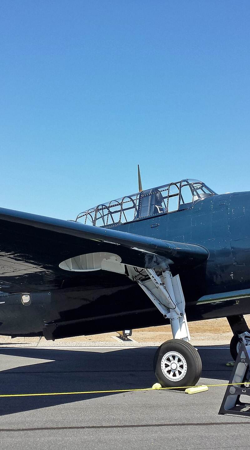  - Warbird
