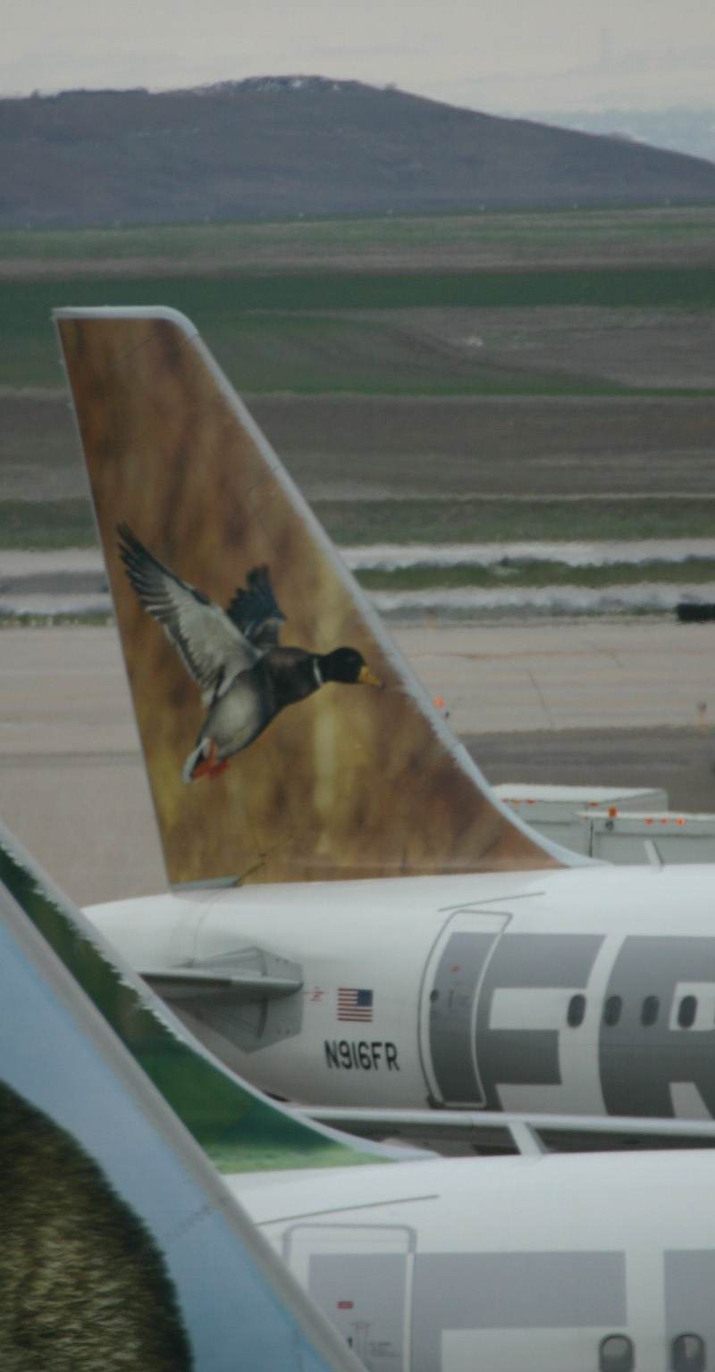 N916FR - Aircraft