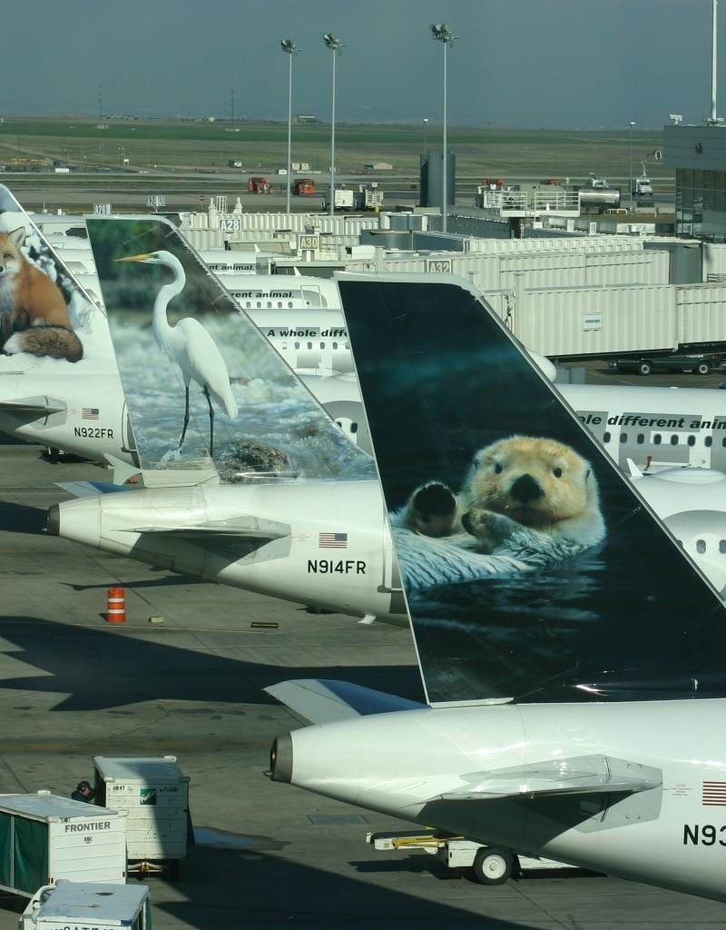 N914FR - Airbus