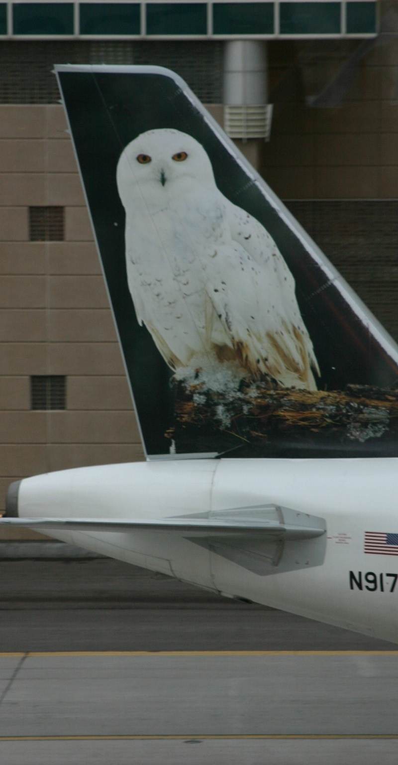 N917FR - Aircraft
