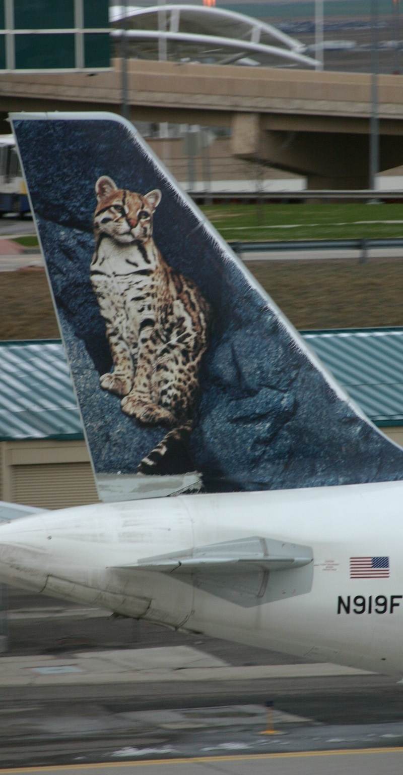 N919FR - Aircraft
