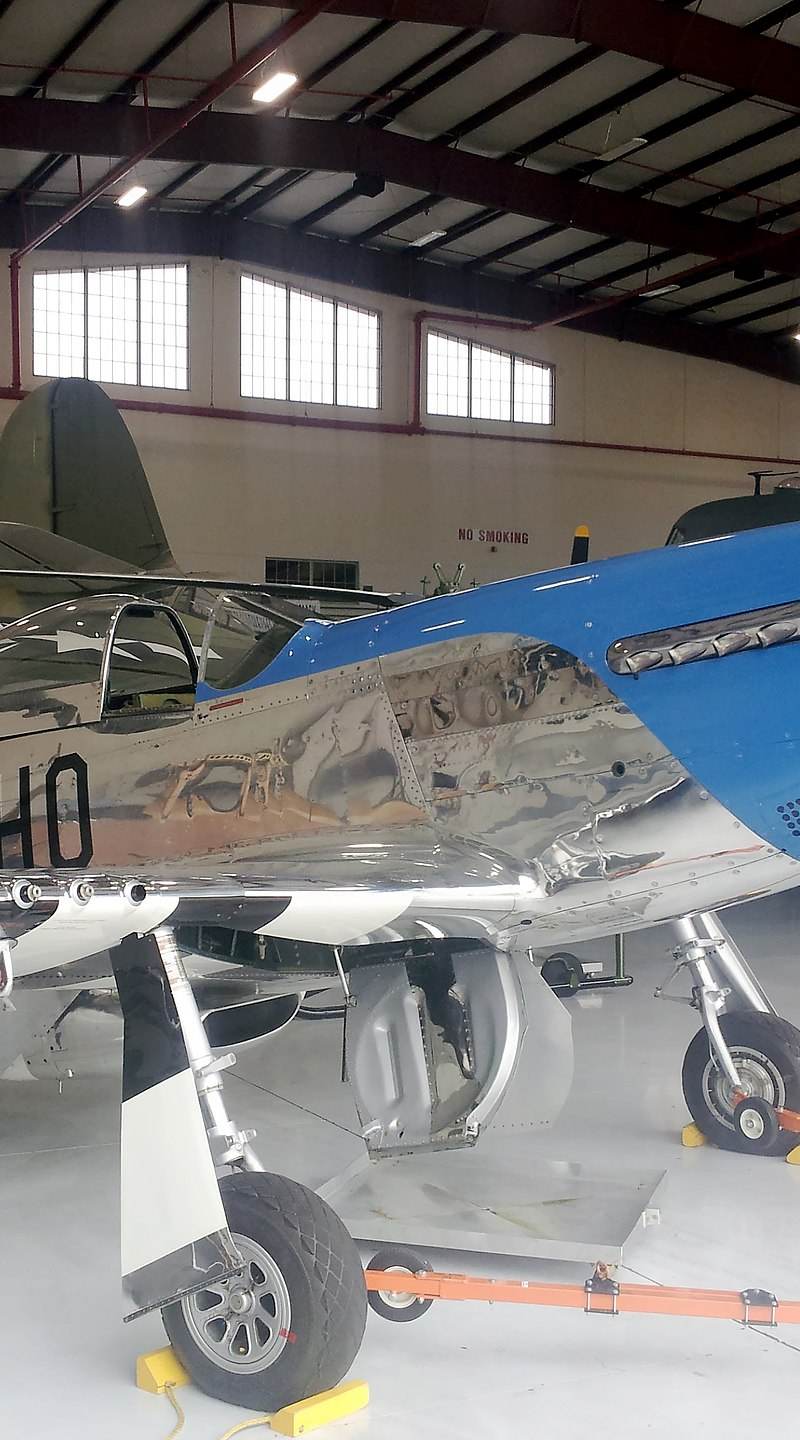 N921 - Warbird